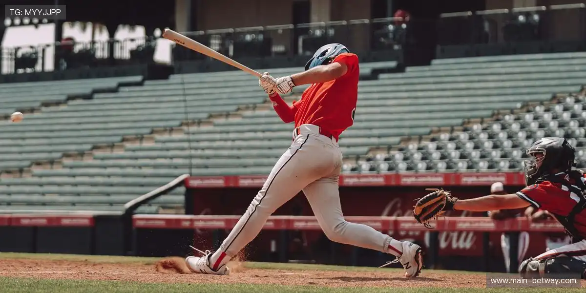 🌍 全年版权计划,稳定内容输出!